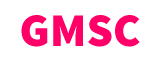 Global Medical Support, Corp logo